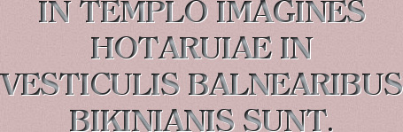 There are images of Hotaru in bikinis in the temple.